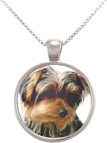 Yorkie perro cachorro Collar con Colgante Yorkie perro cachorro Collar con Colgante