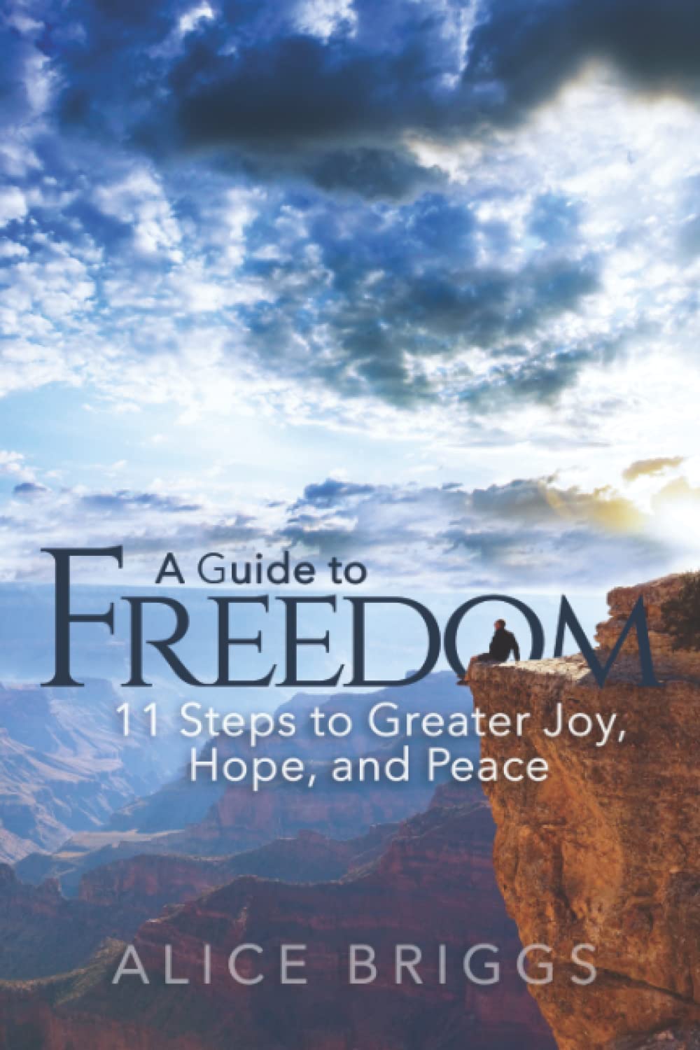 A Guide to Freedom: 11 Steps to Greater Joy, Hope, and Peace: Briggs ...