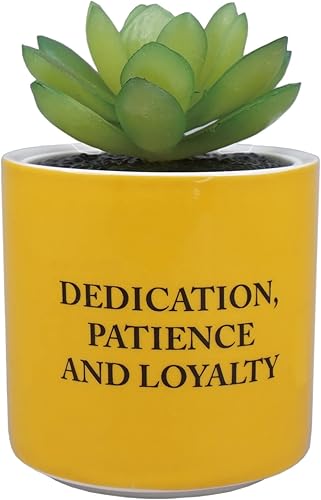 Miniatura 10 de Harry Potter Maceta, gres, rojo, 5.1 fl oz