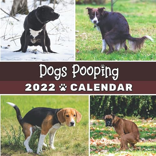 Dogs Pooping Calendar 2022: Funny pooches in awkward positions in nature - planner for White Elephant Gag Secret Santa Birthday Christmas Gift - Perfect joke and prank