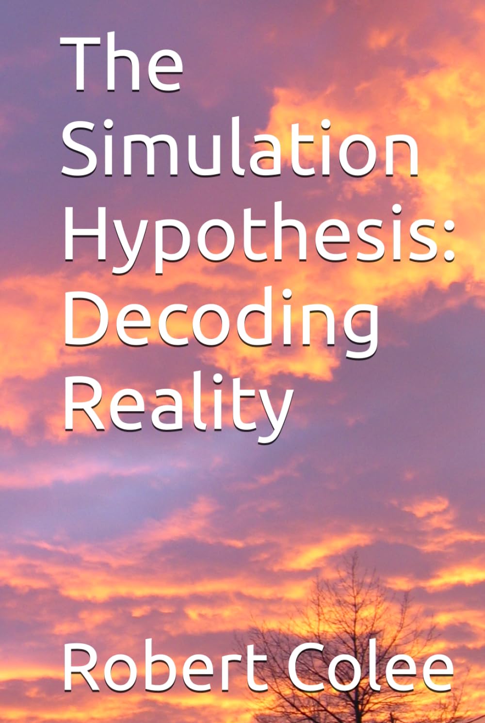The Simulation Hypothesis: Decoding Reality