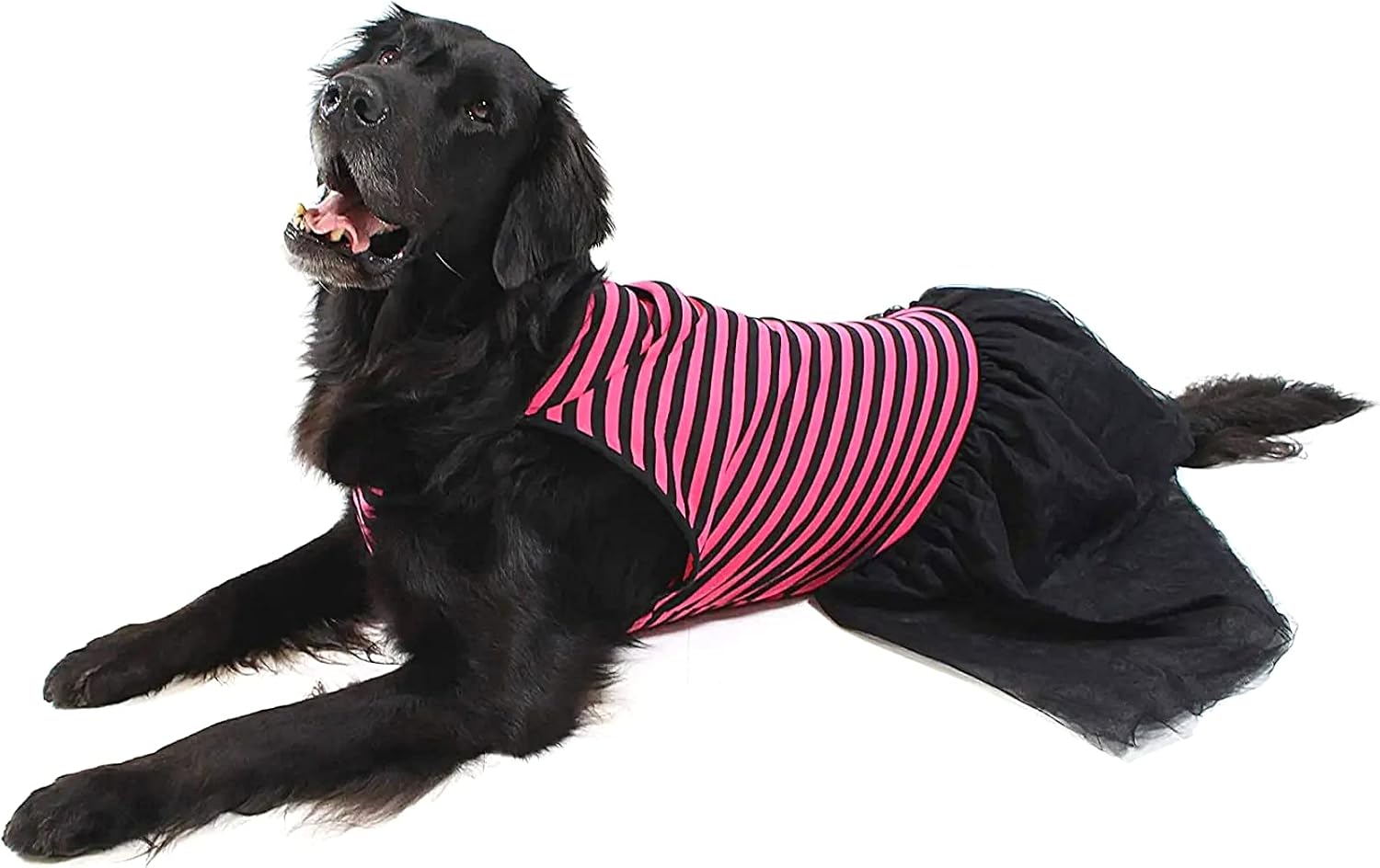 Midlee Pink & Black Stripe Tutu Large Dog Dress (XXX-Large) image 2