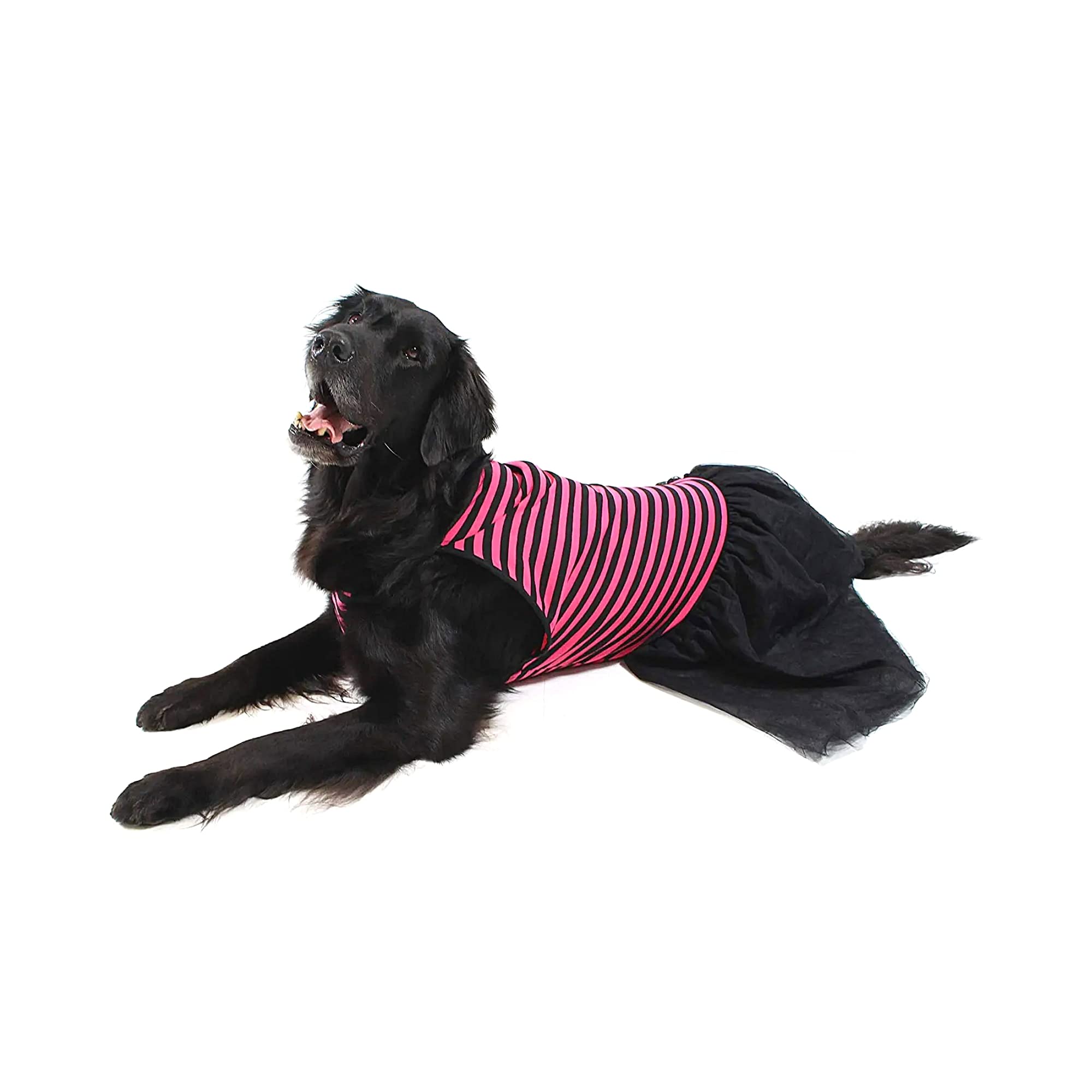Midlee Pink & Black Stripe Tutu Large Dog Dress (XXX-Large)