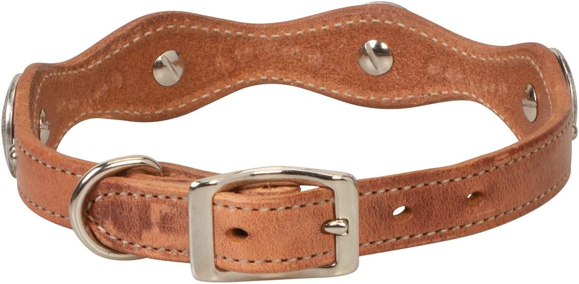 Weaver Pet Texas Star Collar