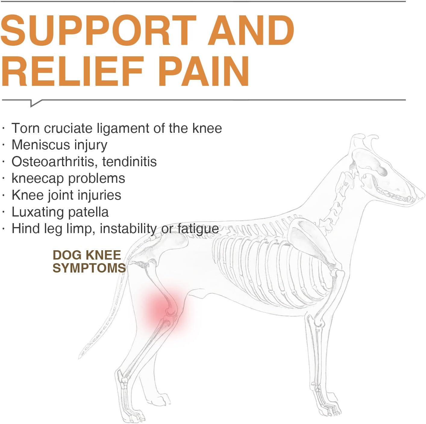 Dog ACL Knee Brace & Healthy Dog Treats Package - Recovery Support and Reward Your Pet