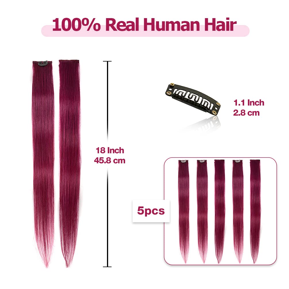Amazon.com : Winsky Burgundy Clip in Colored Hair Extensions  display picture 3