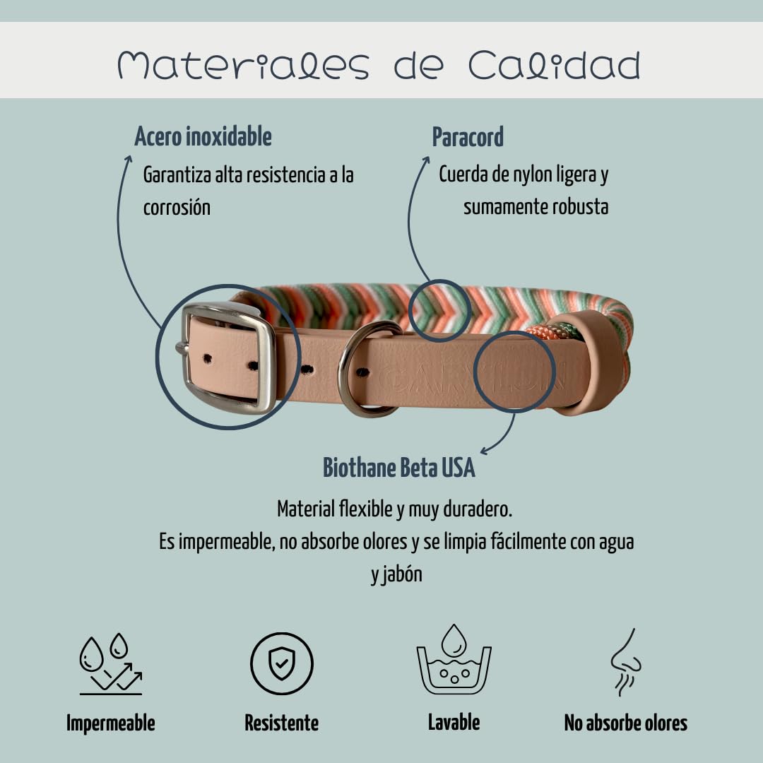 Collar Perro Pequeño, Collar para Perros de Biothane y Paracord con Acero Inoxidable, Pulsera a Juego, Hecho a Mano en España, Impermeable Ajustable y Duradero (Ama, S)