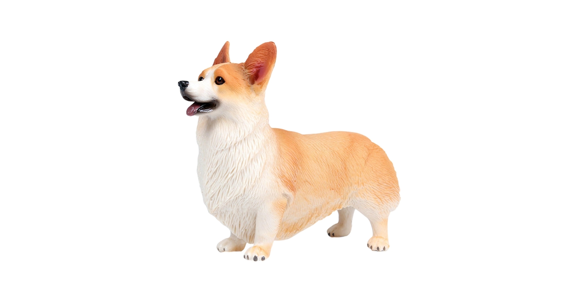 61ImNMme3rL.jpg_BO30,255,255,