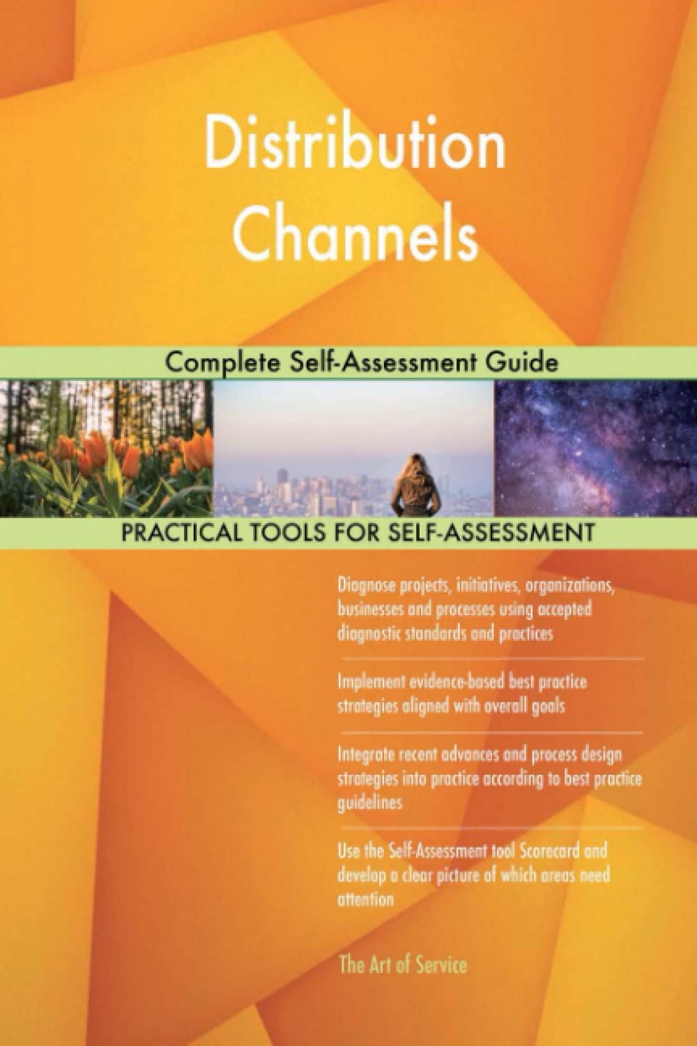 Distribution Channels Complete Self-Assessment Guide