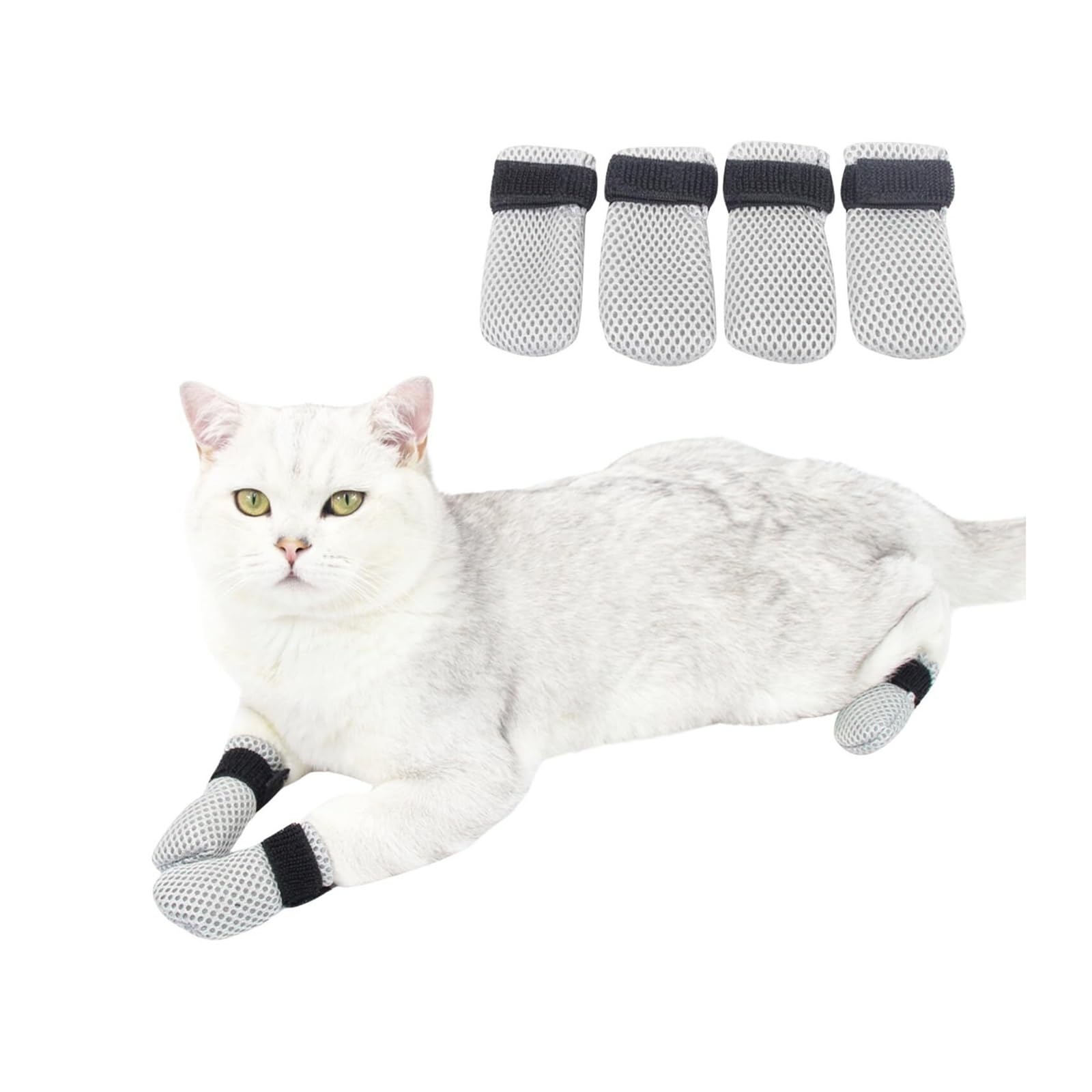 Chaussures réglables anti-rayures pour chat pour un toilettage sans stress ni blessure