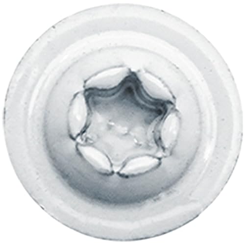 Miniatura 8 de #8 x 2-12" Cabeza de armadura blanca modificada con revestimiento exterior de estrella de bronce  Tornillo de madera de gabinete Torxcabeza de