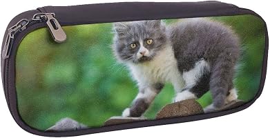 Astuccio per matite con motivo viso di gatto, grande capacità, portapenne, organizer per scuola, ufficio, ragazza e ragazzo