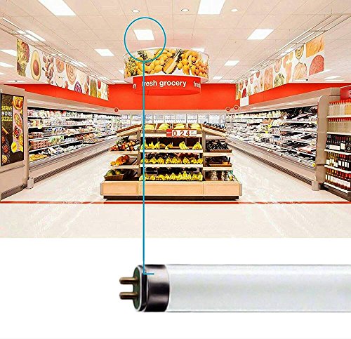 Circle (6 Pack F17T8/841 17W 24 Inch T8 Fluorescent Tube Light Bulb, 4100K Cool White, Medium Bi-Pin (G13) Base, 17 Watt T8 Light Bulbs