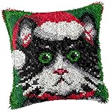 DACUN Latch Hook Kits DIY Häkelgarn -Kits Nadelquadratkissenbezüge Kissen mit bedrucktem Leinwand Latch Hook Teppich Kit for Kinder Erwachsene Anfänger 43 × 4 3cm, b (Color : A)