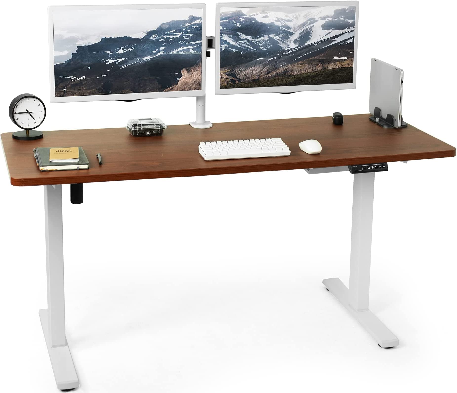 Buy JIN OFFICE Electric Height Adjustable Desk Motorized Sit Stand