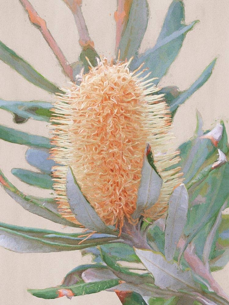 Posterazzi PDXUR1233SMALL Golden Banksia Art Urban Road - Póster impreso, 45,7 x 61 cm, multicolor