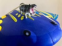 Review Image by Bill L Bill L