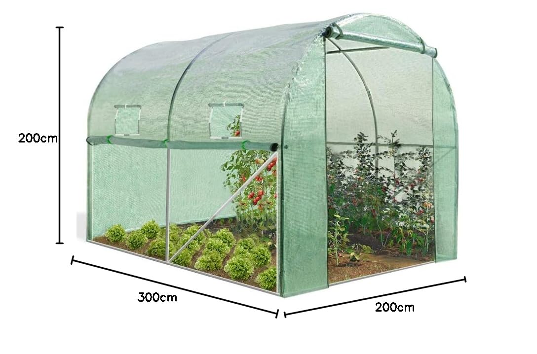 IDMarket - Serre Tunnel de Jardin 4 Saisons 6M² Verte Gamme maraîchère Roma 2x3M