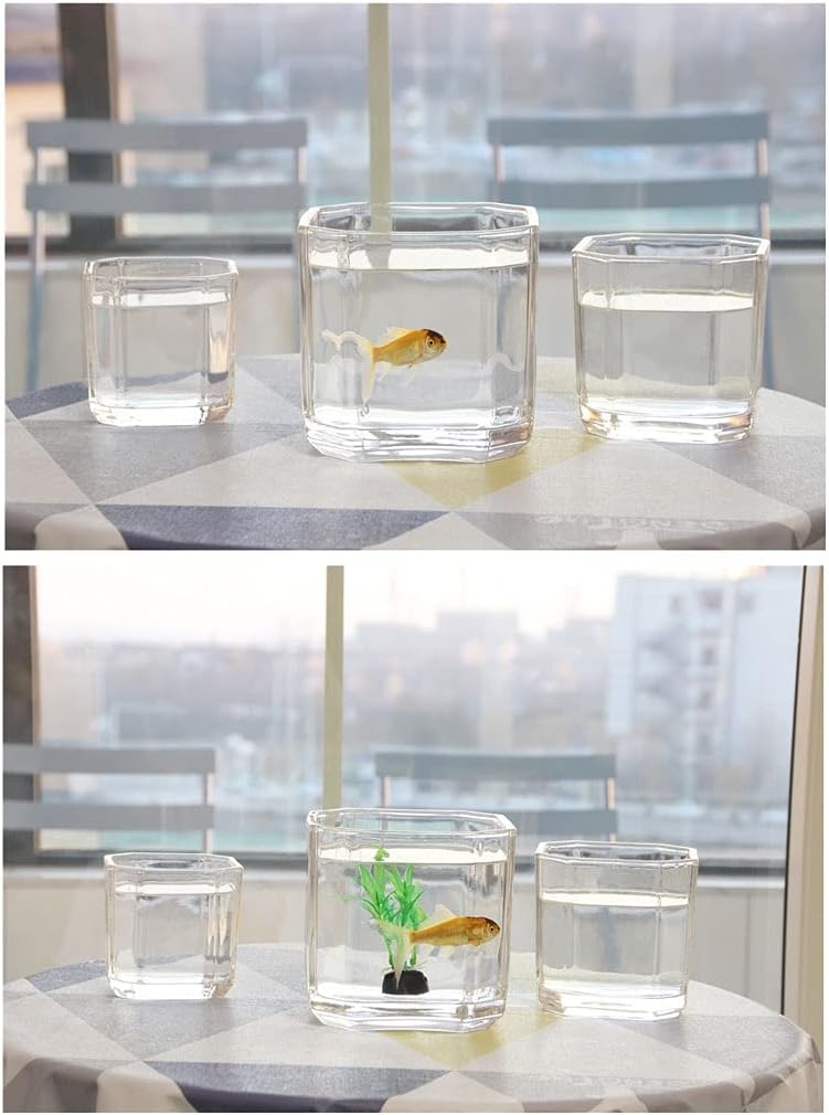 Fish Tank Simple Square Glass Transparent Fish Tank Small Betta Ornamental Fish Tank Turtle Water Plant Tank Office Home Aquarium Tank (Size : 4.72IN)