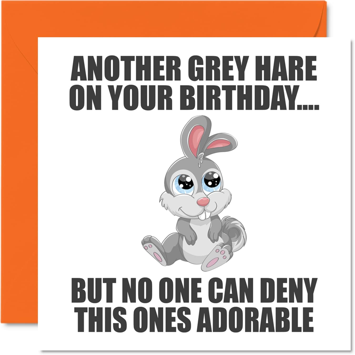 Funny Birthday Cards for Men Women - Grey Hare - Rude Happy Birthday Cards for Mum Dad Brother Sister Son Daughter Nan Grandad, 145mm x 145mm Banter Joke Humour Greeting Cards 30th 40th 50th Bday