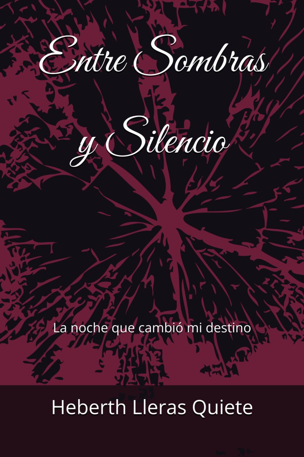 Entre Sombras y Silencio: La noche que cambió mi destino