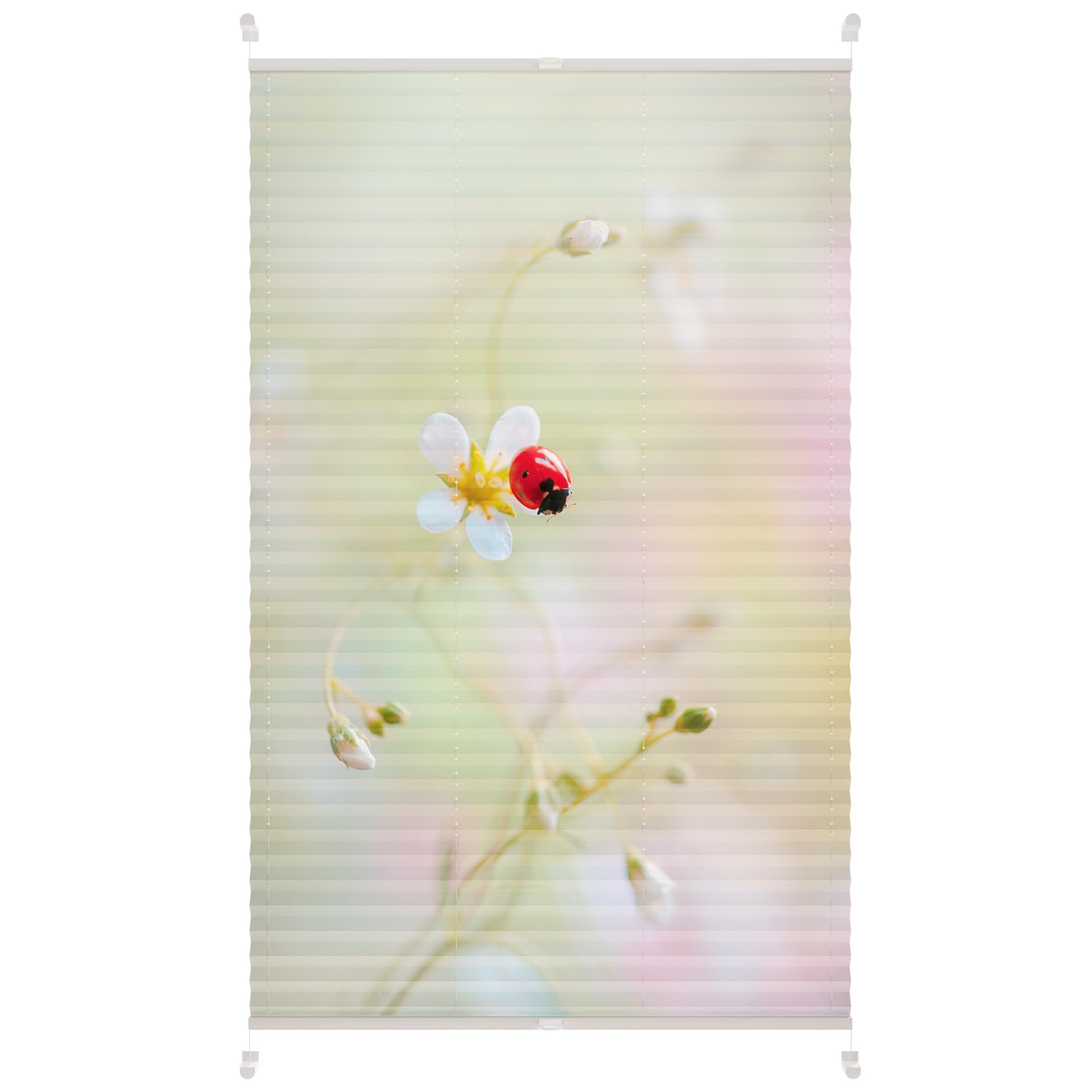 Lichtblick Plissee Blickdicht Tageslicht ohne Bohren Grün Rosa 75 cm x 130 cm (B x L)
