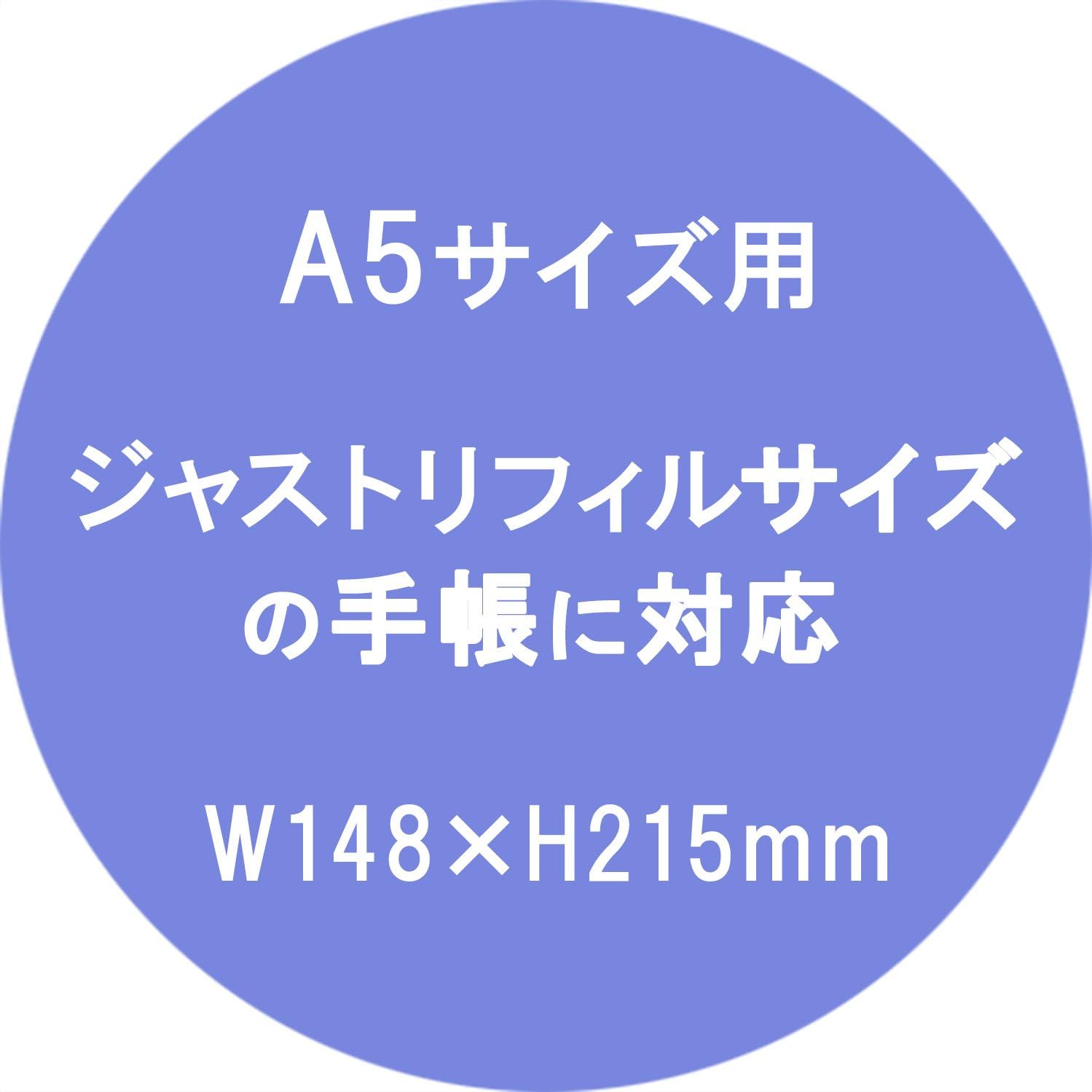 Raymay Fujii DaVinci Notebook Refill, Color Index, 4 Classifications, A5 DAR4520