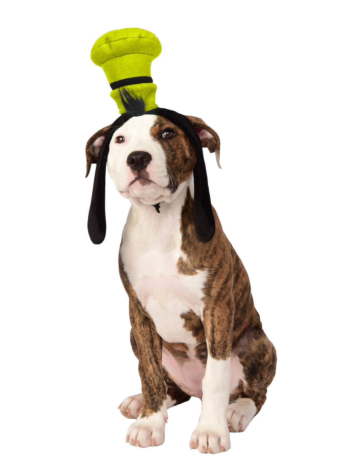 Mickey Disney accessoire déguisement Rubie's chien taille ML