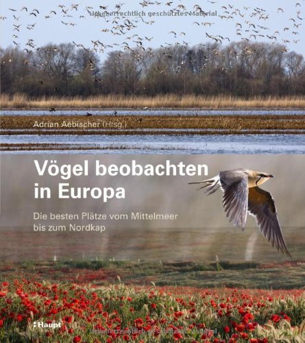 Vögel beobachten in Europa: Die besten Plätze vom Mittelmeer bis