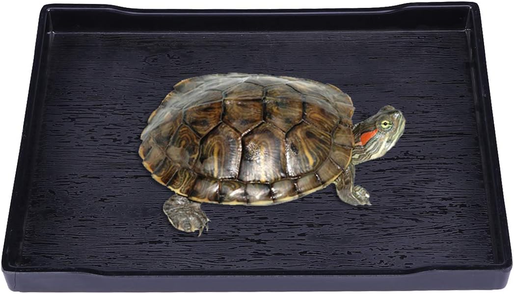 POPETPOP Reptile Food and Water BowlLarge Reptile Water Dish Also Fit