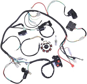 Wiring Harness kit Wire loom | Complete Electrics Stator Coil CDI for 150cc-300cc ATV QUAD 4 Four wheelers Go Kart Dirt Pit bikes 2 fixing holes