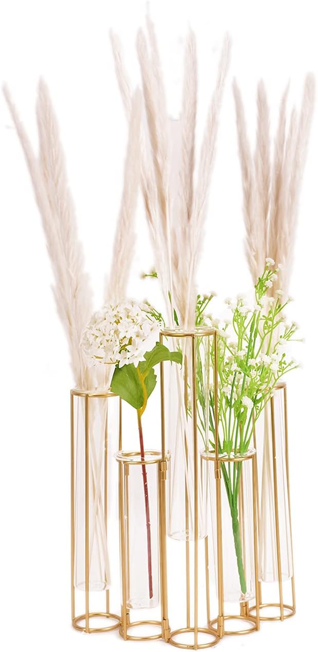 Test Tube Vase with Metal Frame, Hinged Vases for Centerpieces, Glass Flower Vase for Table with 5 Test Tubes, Bud Display Set for Home Wedding Decor