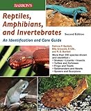 Reptiles, Amphibians and Invertebrates: An Identification and Care Guide (Reptile Keepers Guide) by R. D. Bartlett (1-Oct-2010) Paperback