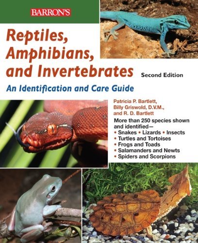 Reptiles, Amphibians and Invertebrates: An Identification and Care Guide (Reptile Keepers Guide) by R. D. Bartlett (1-Oct-2010) Paperback