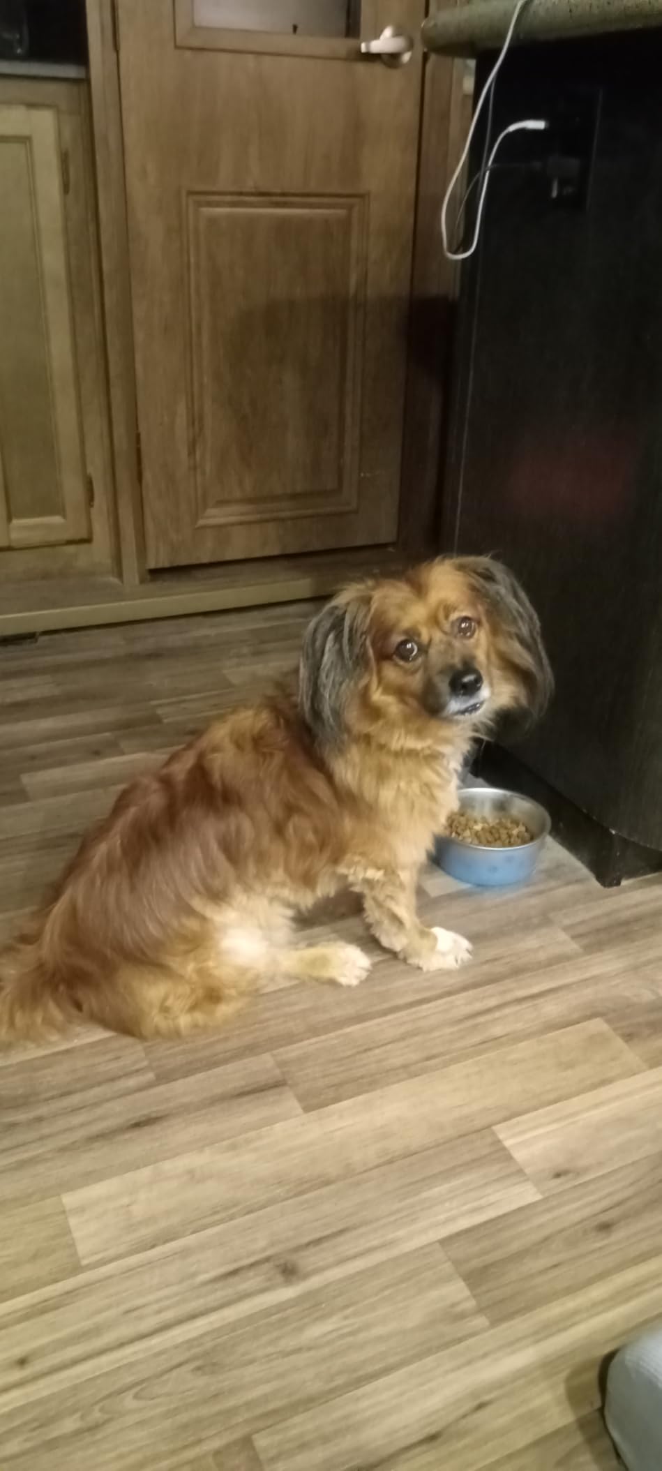 FAFAFROG smart display showing current mode