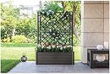 Stefanplast Bac Italie avec espalier, plastique, rectangulaire, 100 x 43 x H. 142 cm anthracite - 2