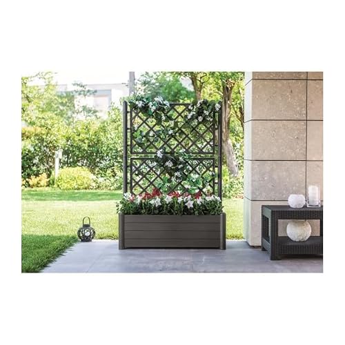 Stefanplast Kletterpflanzgefäß mit Gestell - 100 x 43 x1 42 cm - Kunststoff