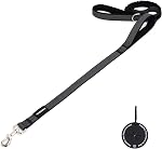 6FT Bungee Dog Leash – Shock Absorbing, Dual Handle with Traffic Control, Soft Padded Grip, Starlight Reflective for Comfort and Safe Daily Walks (Black)