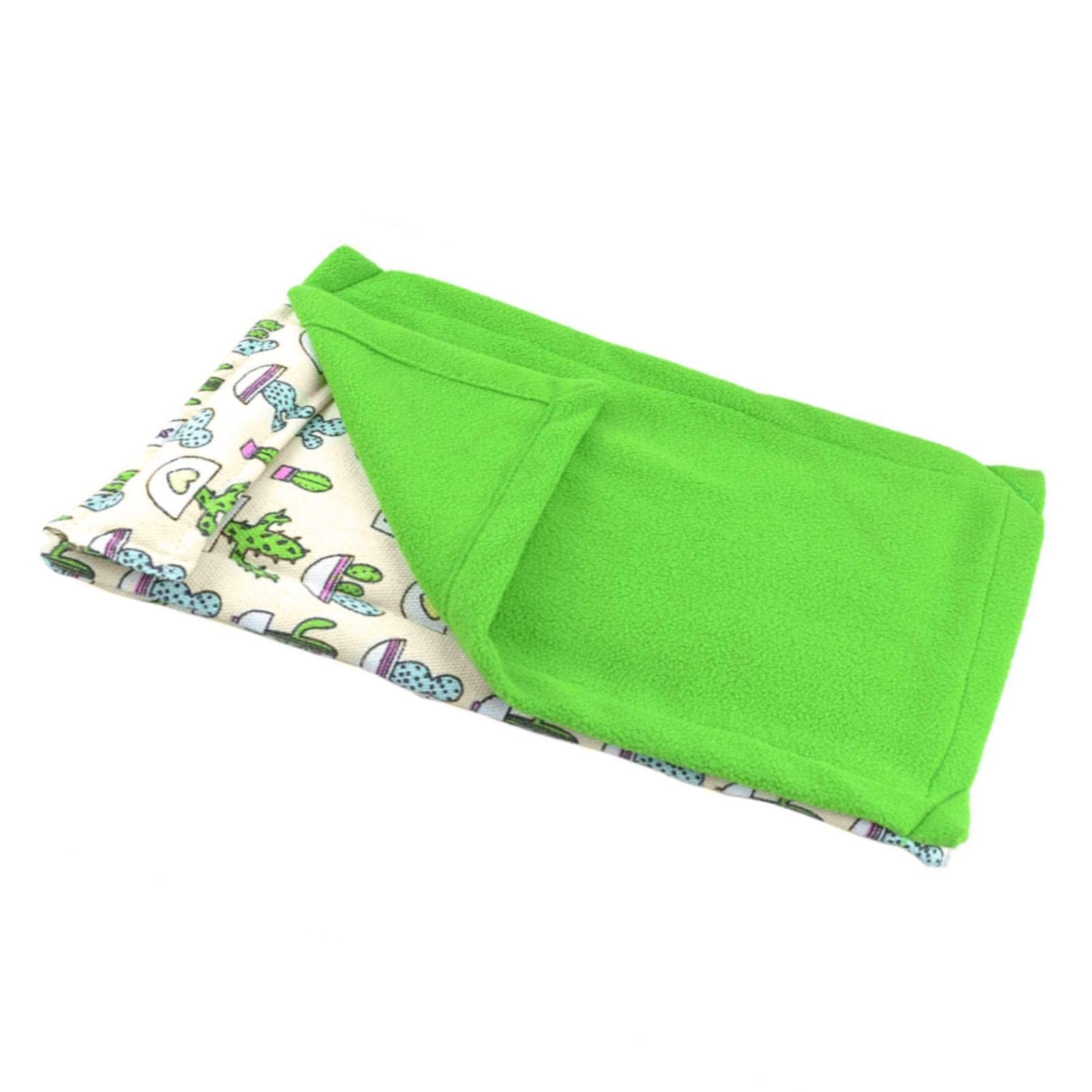 Sleeping Bag Bearded Dragon