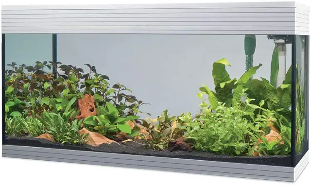 Askoll Pure Aquarium Kit LED XL Bianco - Acquario Askoll