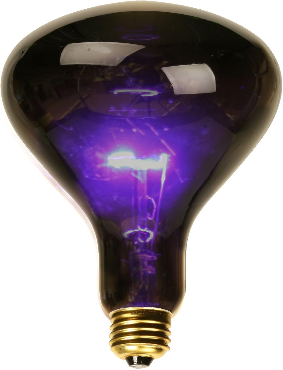 Black Spotlight Bulb (75 Watt)