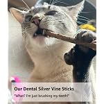From The Field Silver Vine Sticks for Cats | Natural Dental Chew & Catnip Alternative | Ultimate Blend Marinated for Maximum Potency | Helps Clean Teeth & Promote Play | USA-Made Cat Chew Toy - Image 3