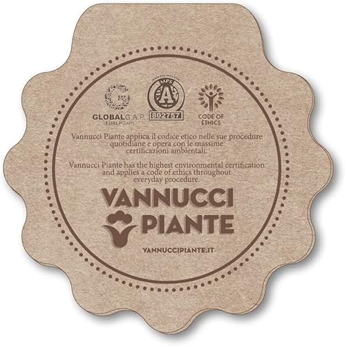 Porta Per Gatti E Cani VEVOR Taglia L - In Alluminio E PVC, Antintrusione, Per Porte Spesse Fino A 5cm