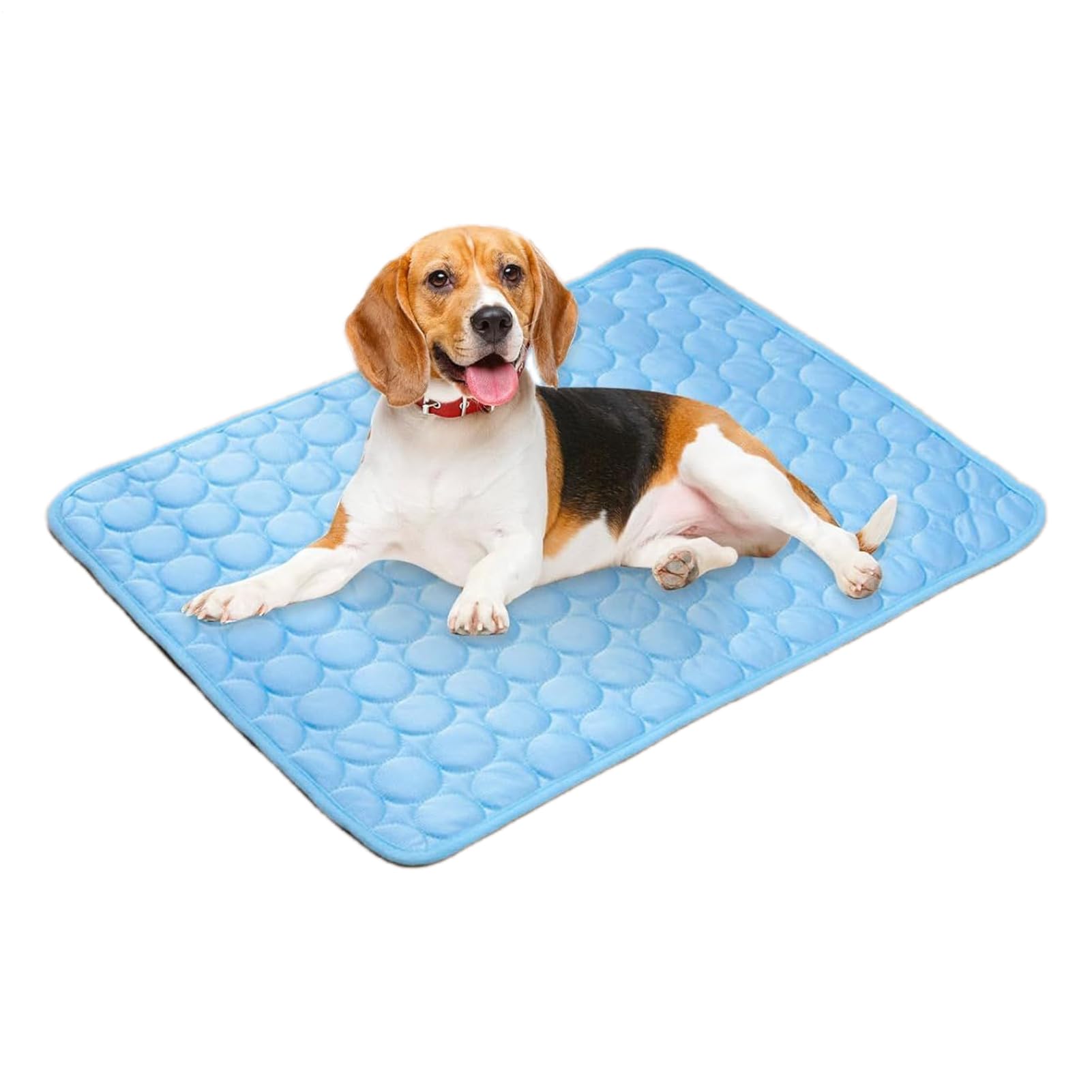 Tappetino Refrigerante Rinfrescante Per Cane Gatto Animali, 30*40cm Seta Di Ghiaccio Tappetino Refrigerante Per Cani, Adatto A Gabbie, Dissipazione Del Calore, Portatile, Cucce E Letti Per Cani