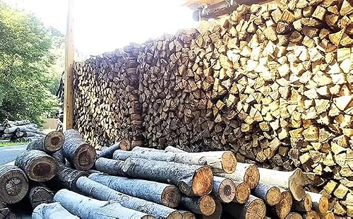 薪 定期便 3ヶ月 20kg 10箱 セット 森のちから 五名の薪 燃料 アウトドア アウトドア用品 キャンプ キャンプ用品 BBQ 薪ストーブ 焚き火 香川 香川県 東かがわ市 (配送不可:北海道・沖縄県・離島地域