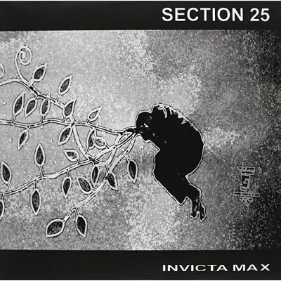 Invicta Max