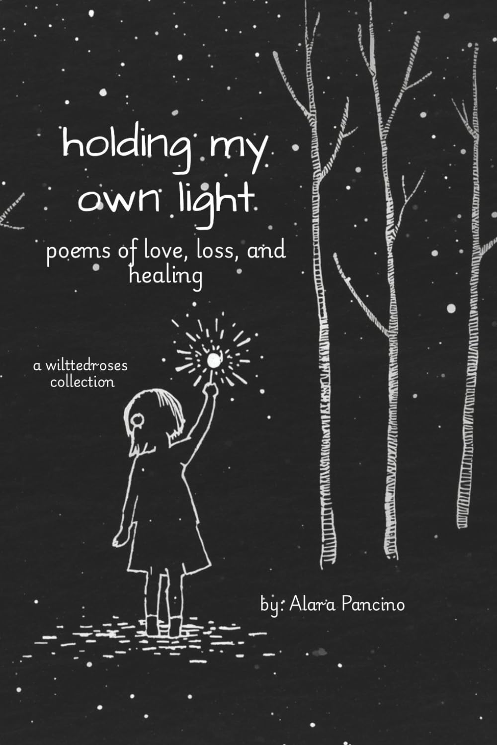 holding my own light: A Collection of Poems on Healing and Becoming