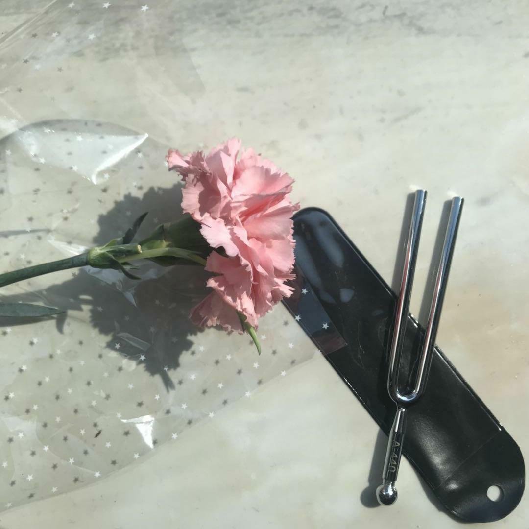 Amazon.co.jp: QIYUN 音叉 (チューニング・フォーク) A=440Hz 収納