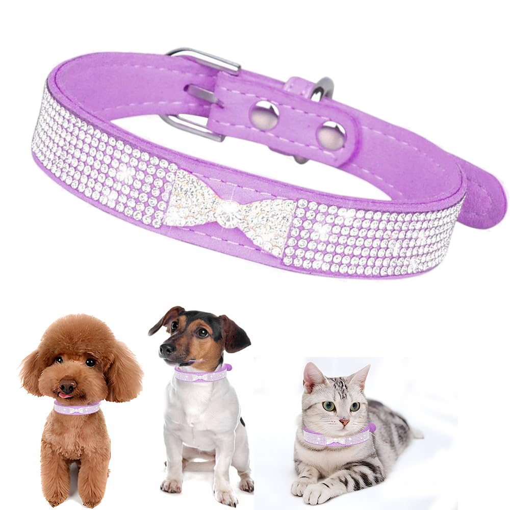 Collier réglable en cuir bling pour petit et moyen chien