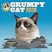 Grumpy Cat 2015 Wall Calendar